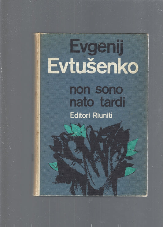 NON SONO NATO TARDI - copertina