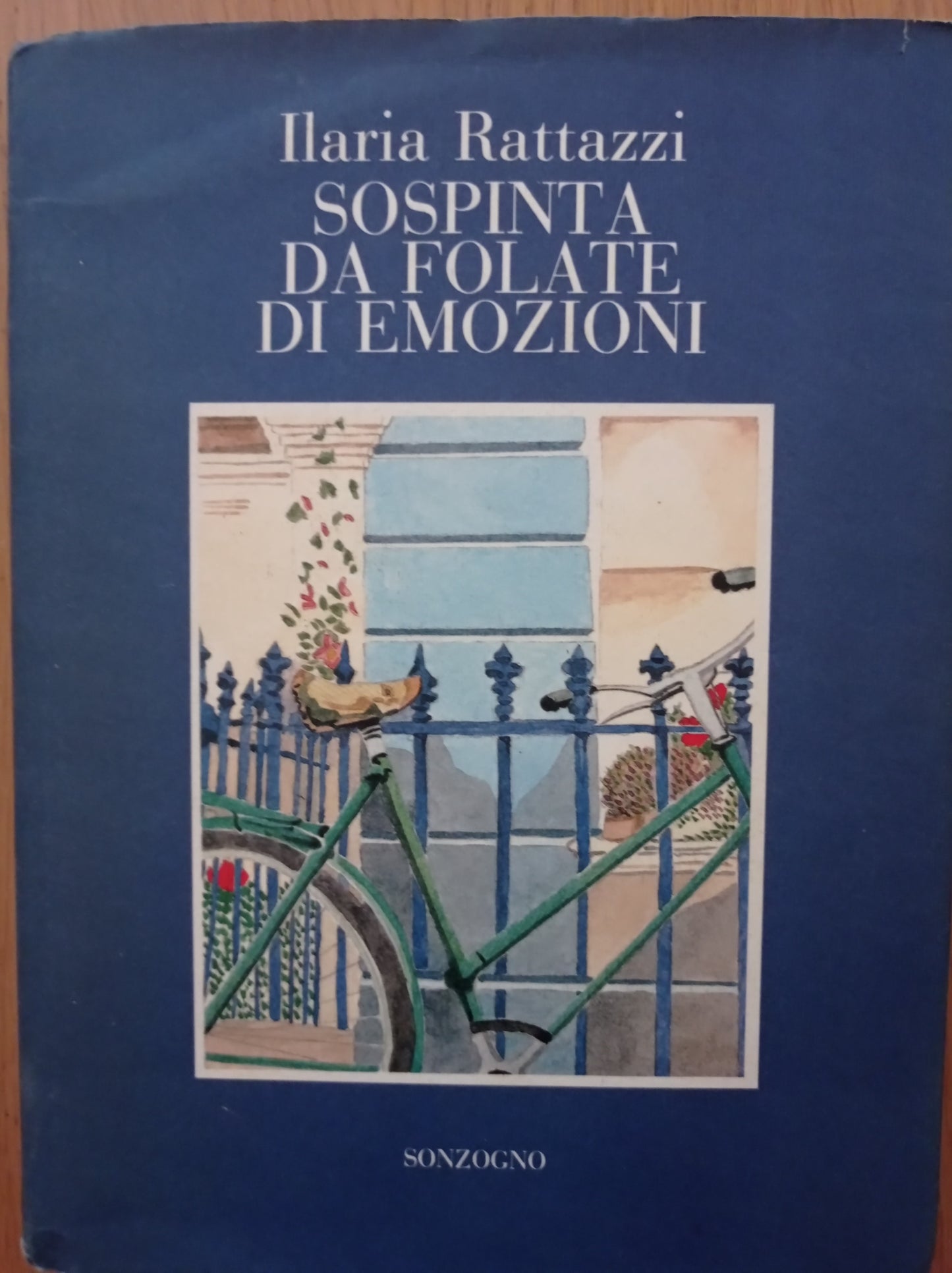 Sospinta da folate di emozioni - copertina