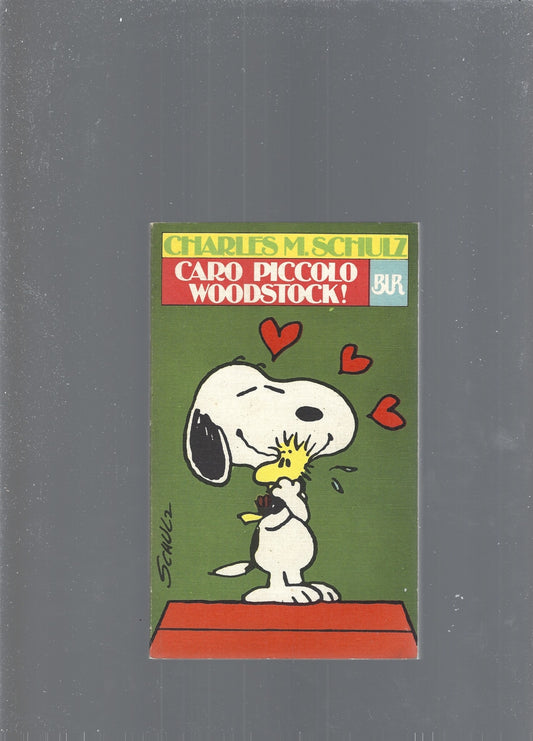 CARO PICCOLO WOODSTOCK ! - copertina