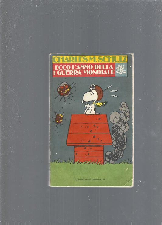 ECCO L'ASSO DELLA I GUERRA MONDIALE - copertina