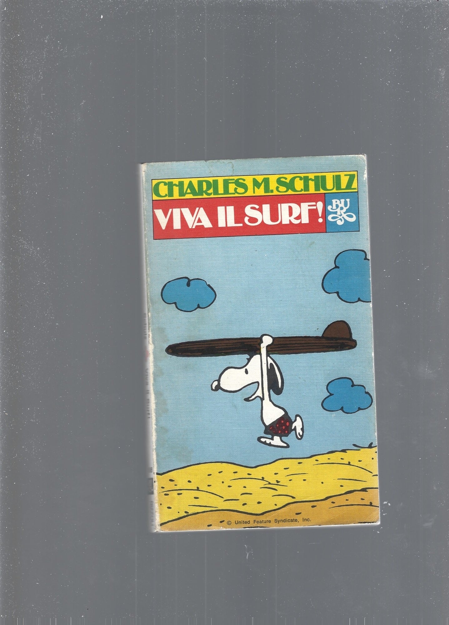 VIVA IL SURF! - copertina