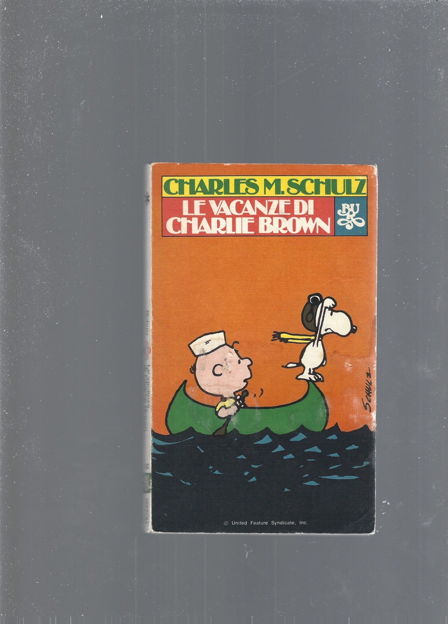 LE VACANZE DI CHARLIE BROWN - copertina