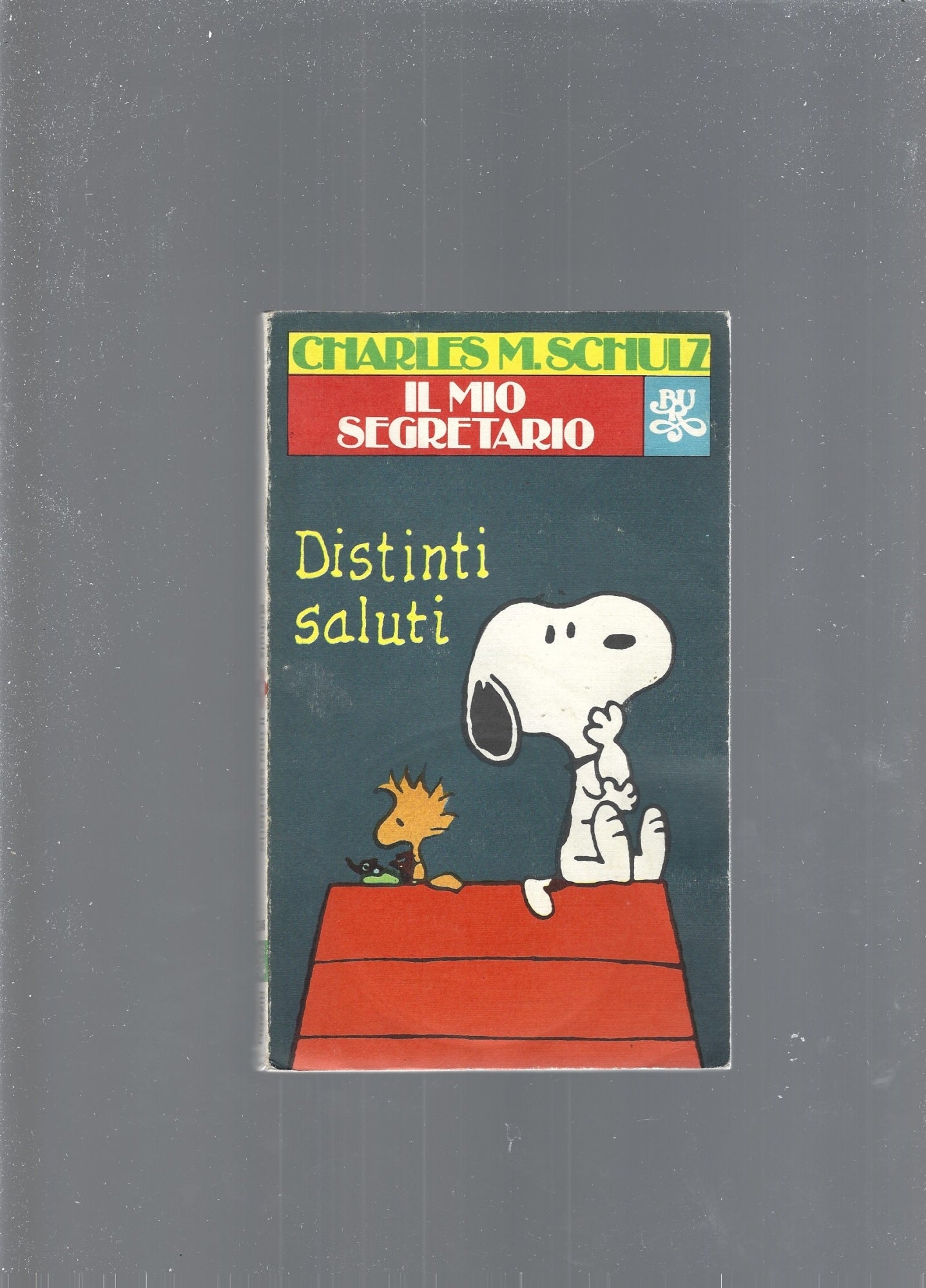 IL MIO SEGRETARIO - copertina