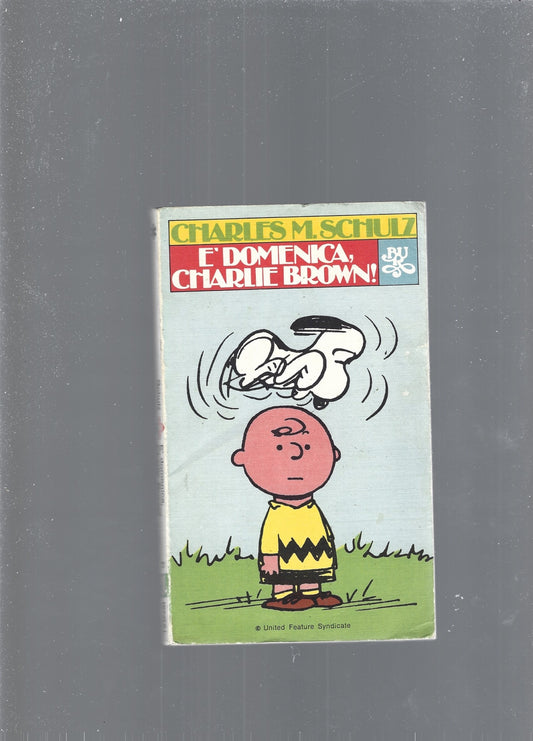E' DOMENICA CHARLIE BROWN! - copertina