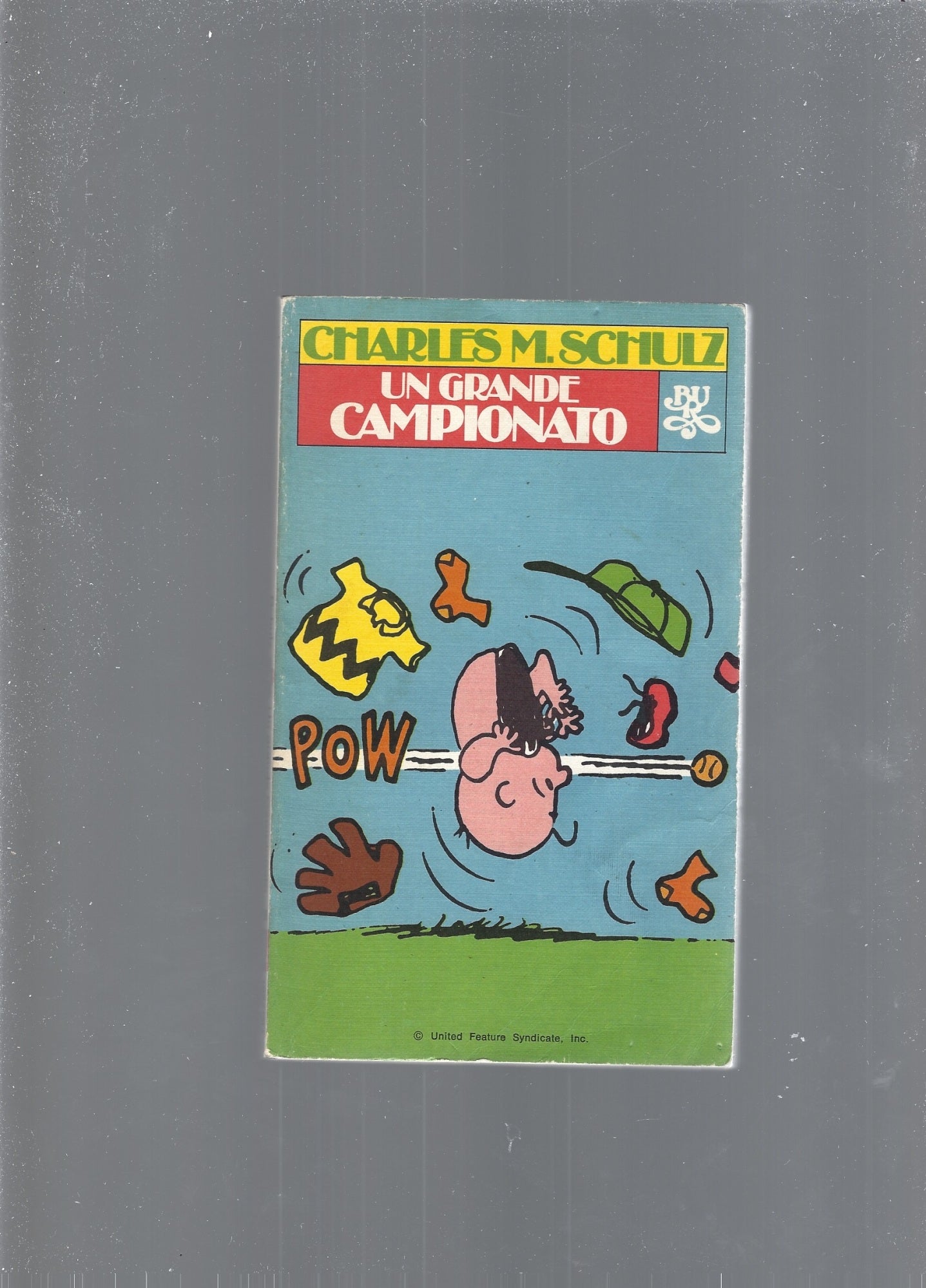 UN GRANDE CAMPIONATO - copertina