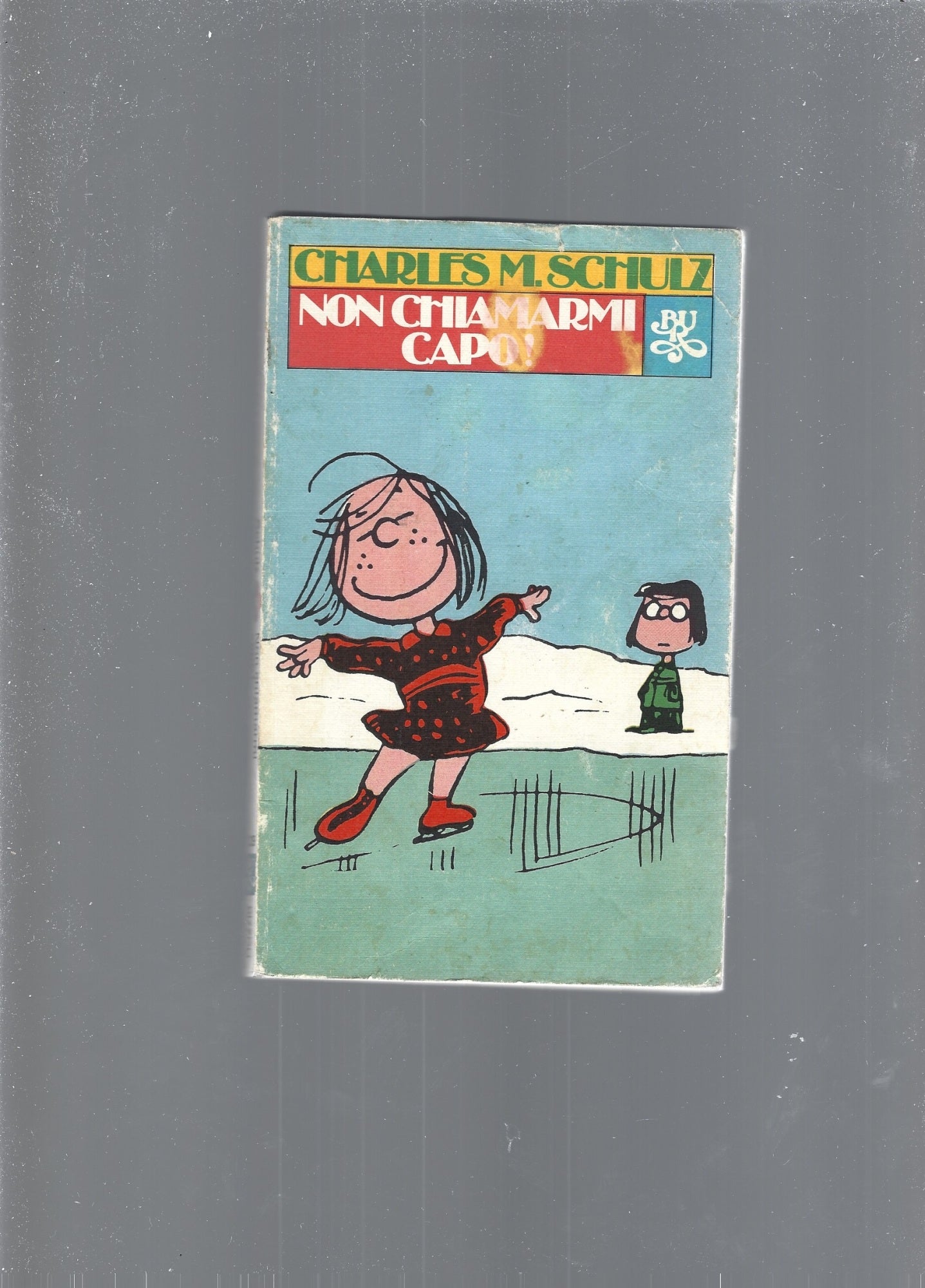 NON CHIAMARMI CAPO - copertina