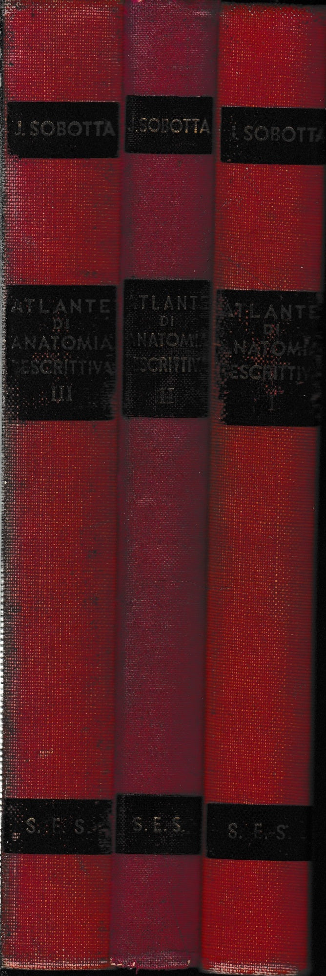 Atlante di anatomia descrittiva dell'uomo, tre volumi. - copertina