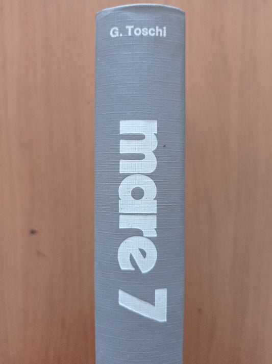 Mare 7 da Genova a Tengeri, 2500 chilometri in gommone - copertina