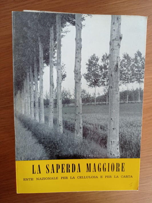 LA SAPERDA MAGGIORE - copertina