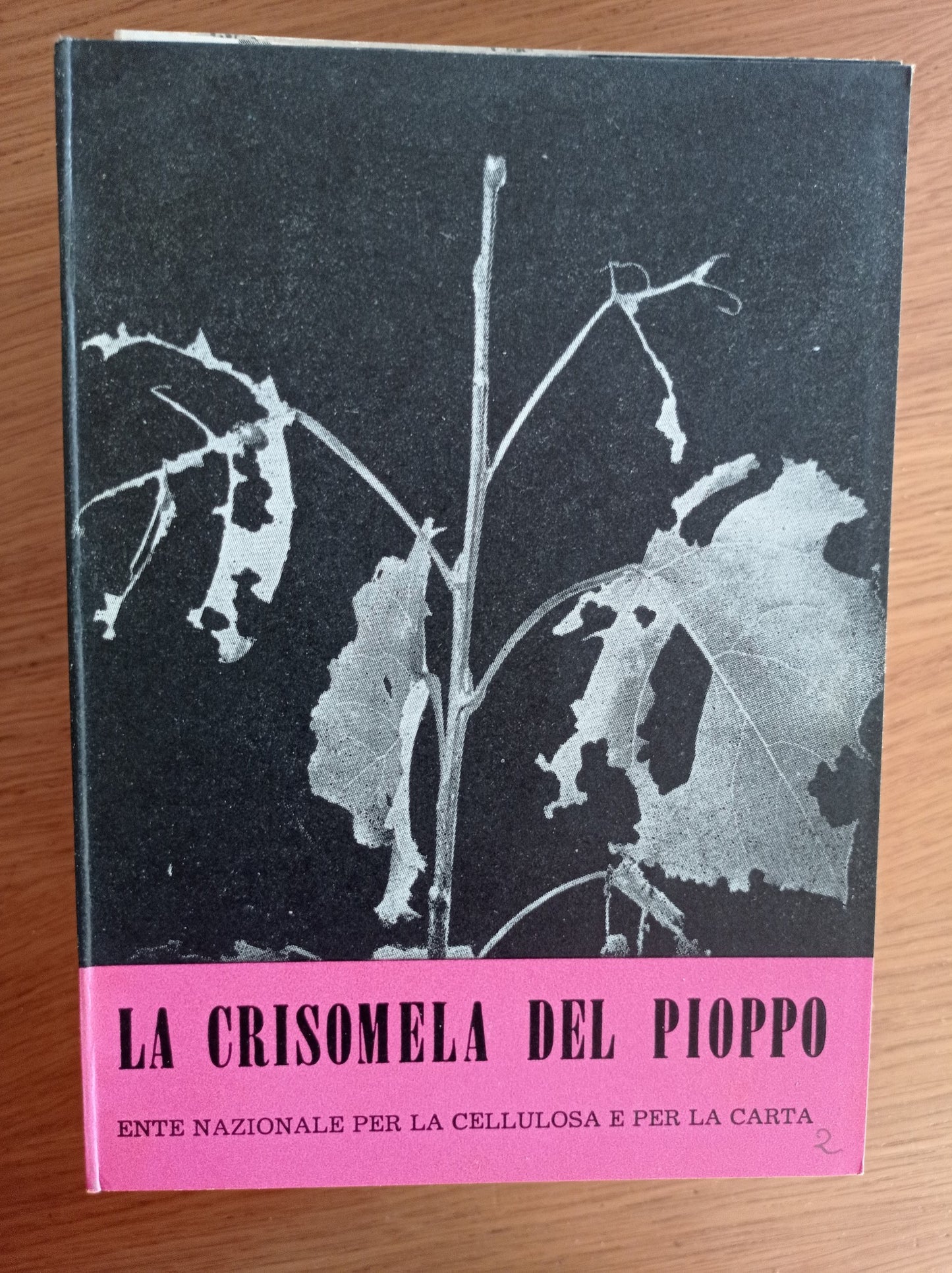 La Crisomela del pioppo - copertina