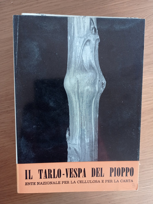 Il tarlo - vespa del pioppo - copertina