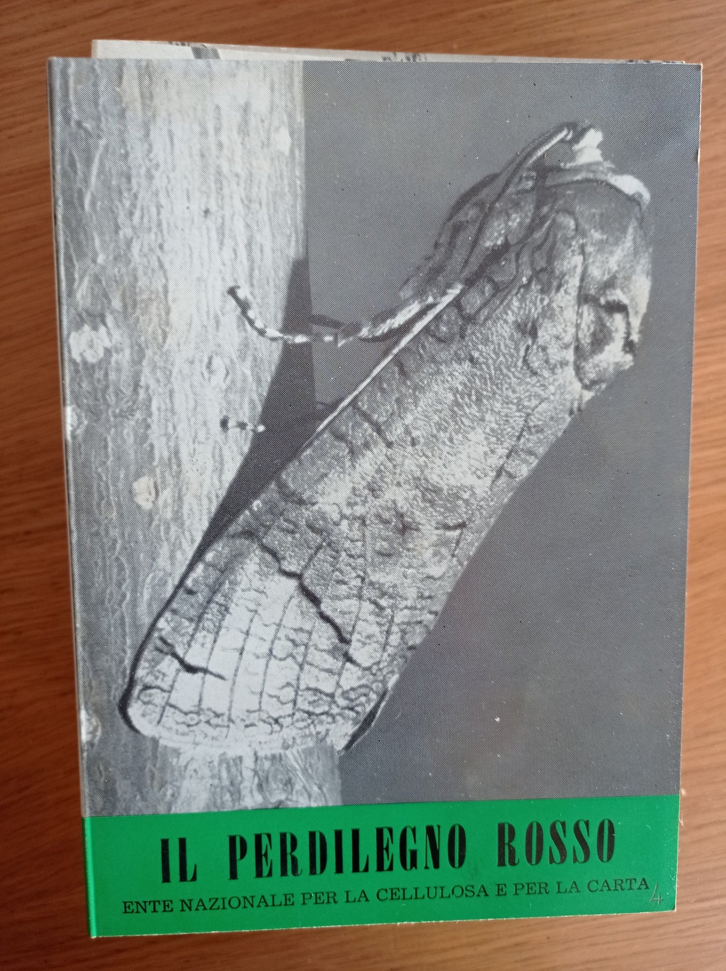 Il perdilegno rosso - copertina