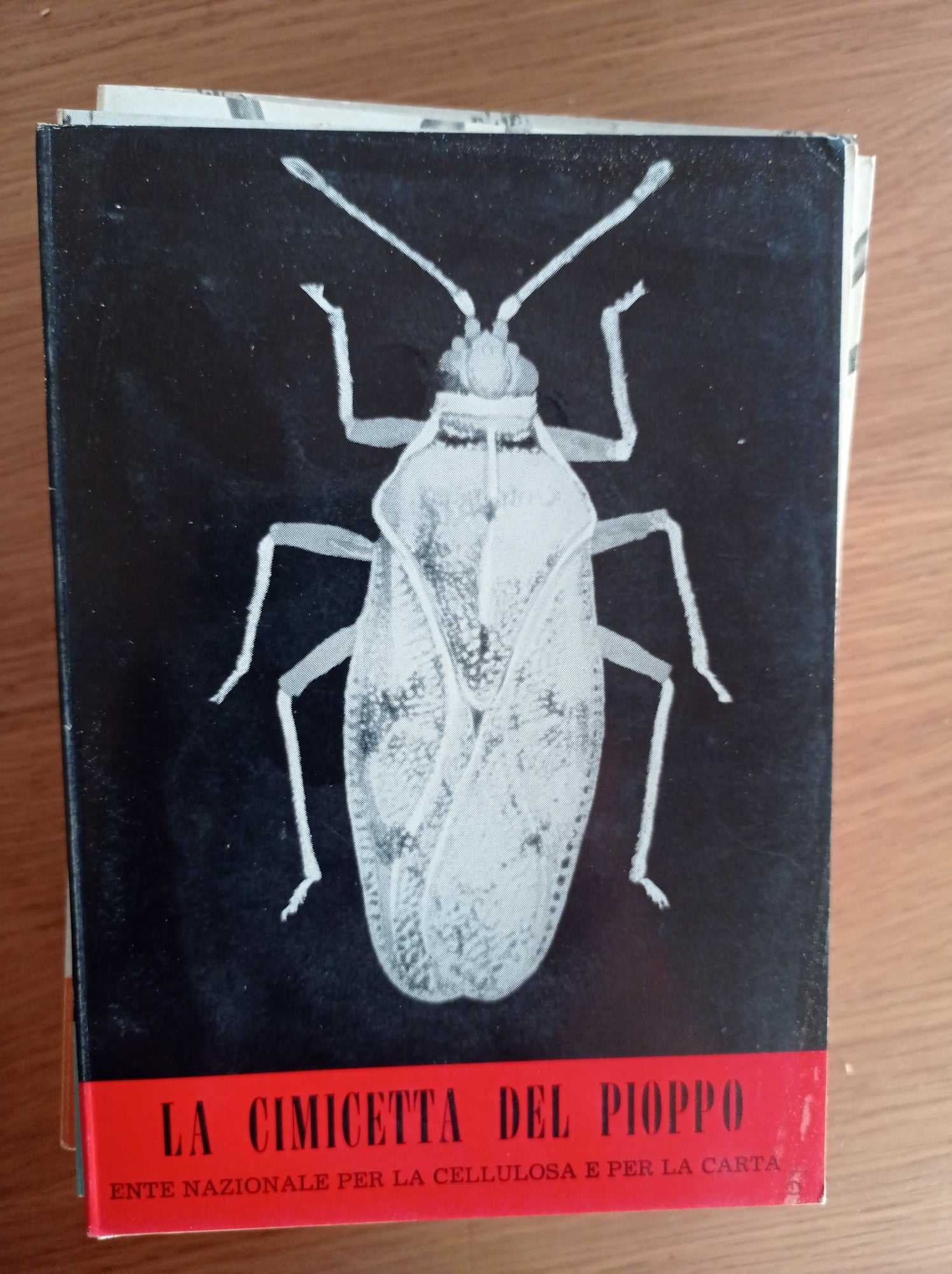 La cimicetta del pioppo - copertina