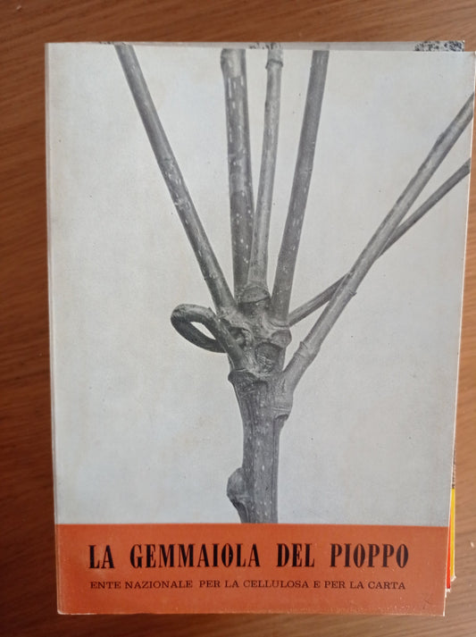 La gemmaiola del pioppo - copertina