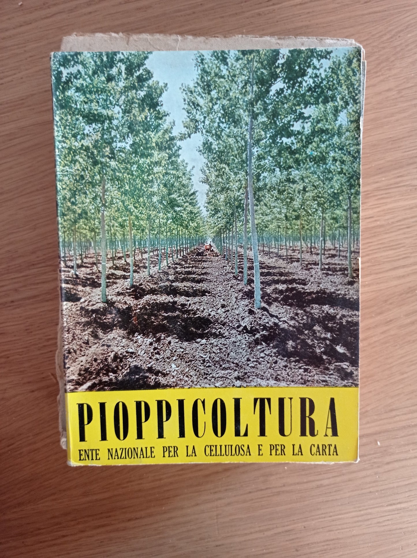 Pioppicoltura - copertina