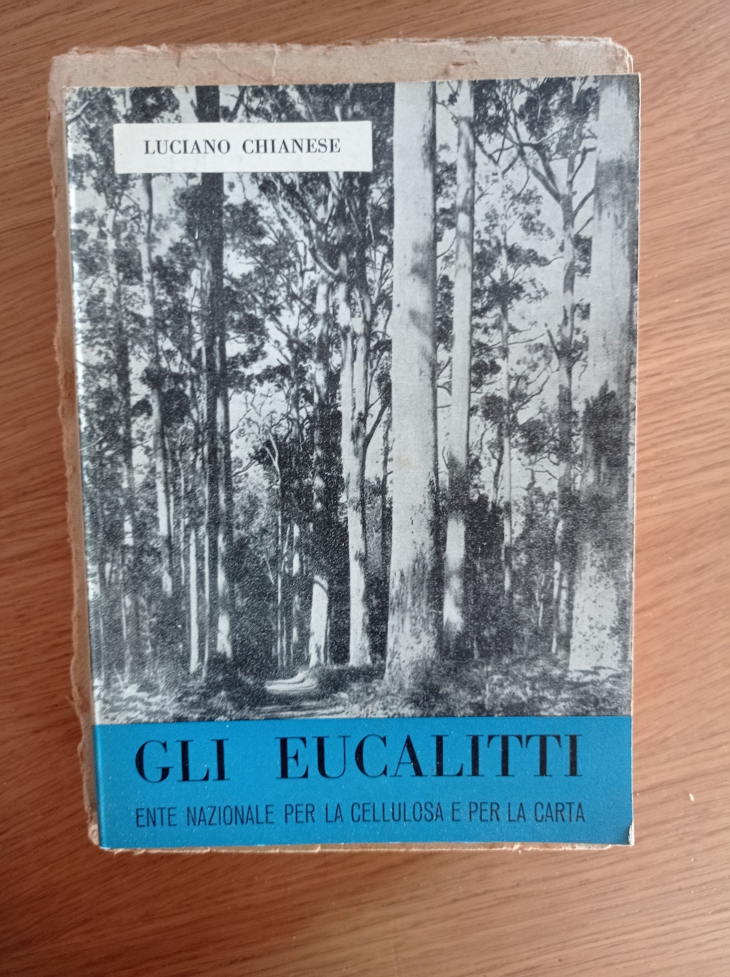 Gli eucalitti - copertina