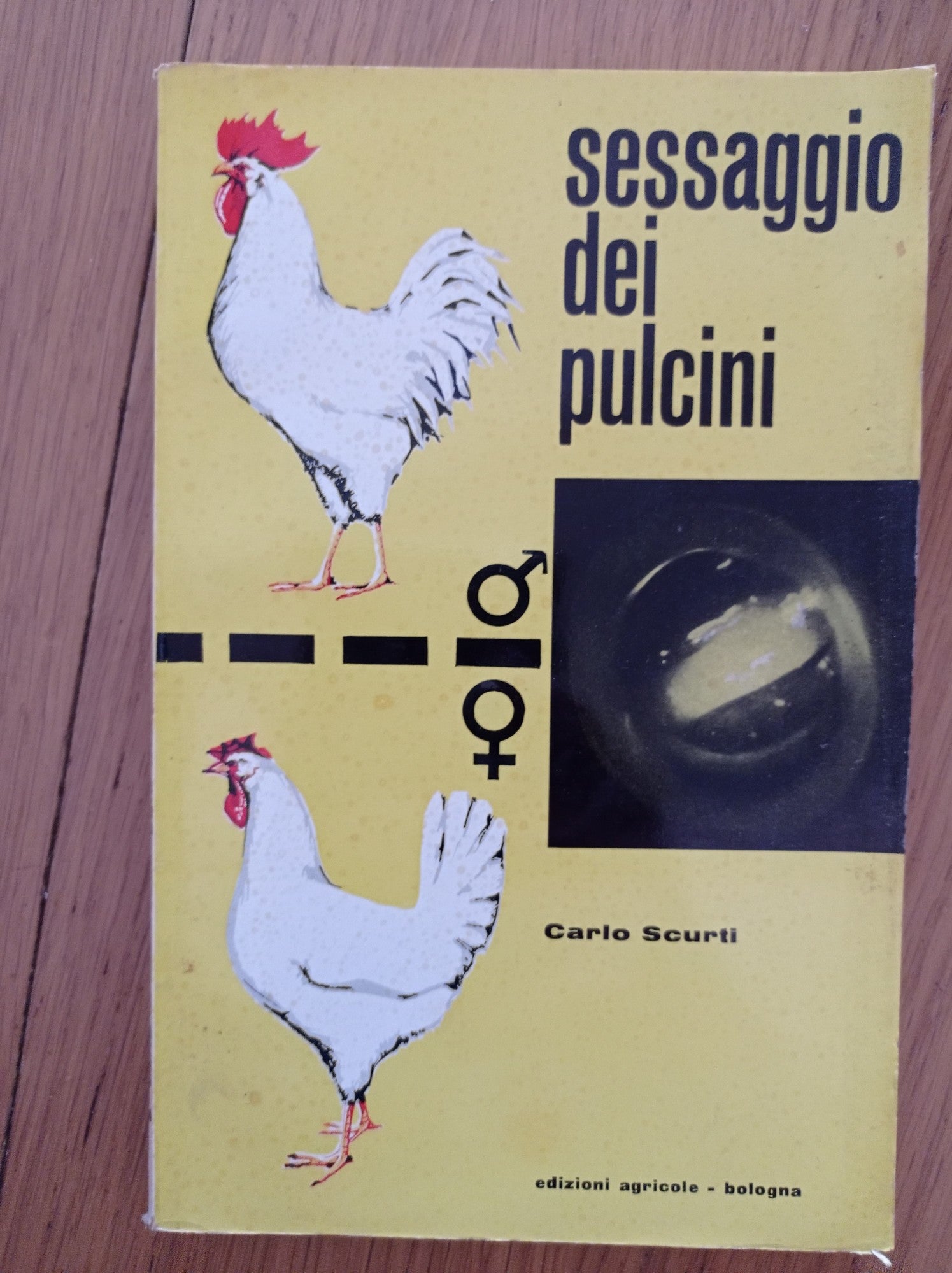 Sessaggio dei pulcini - copertina