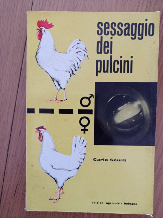 Sessaggio dei pulcini - copertina