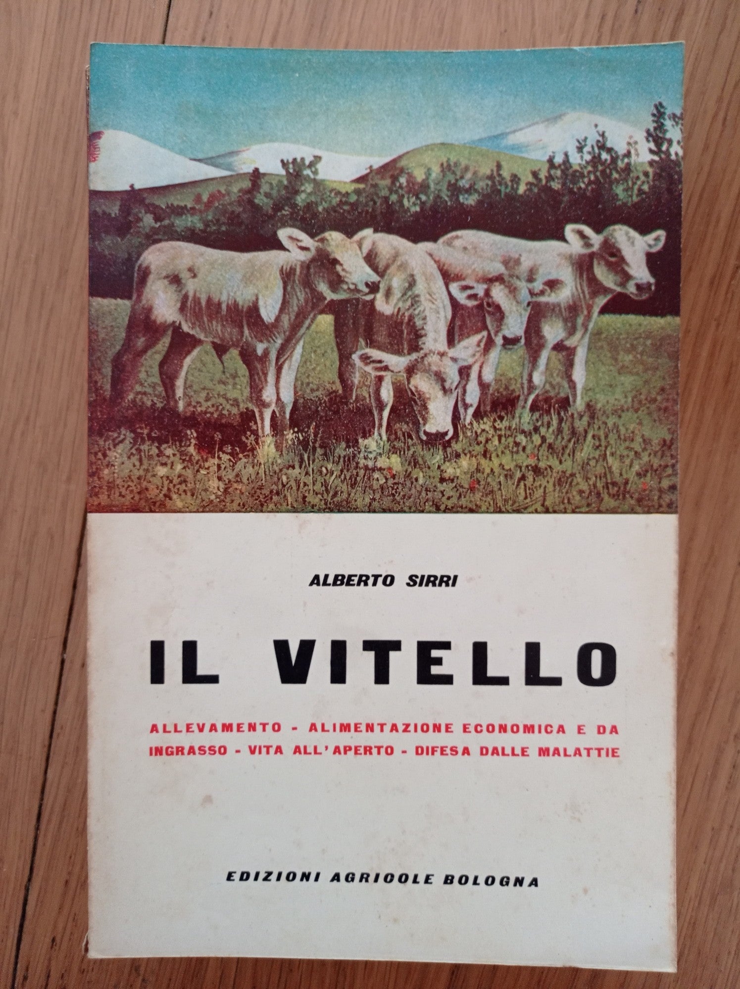 Il vitello - copertina
