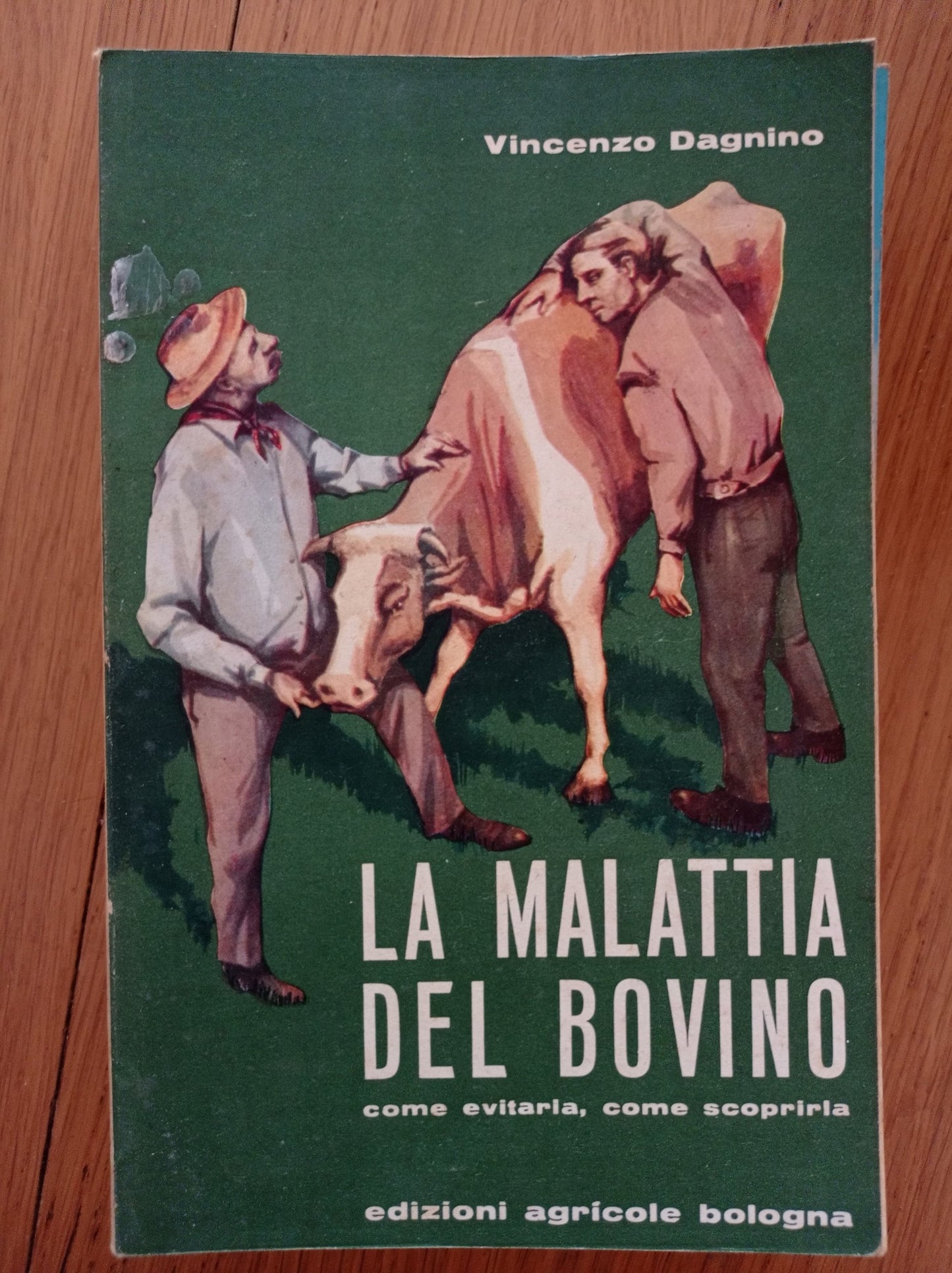 La malattia del bovino - copertina