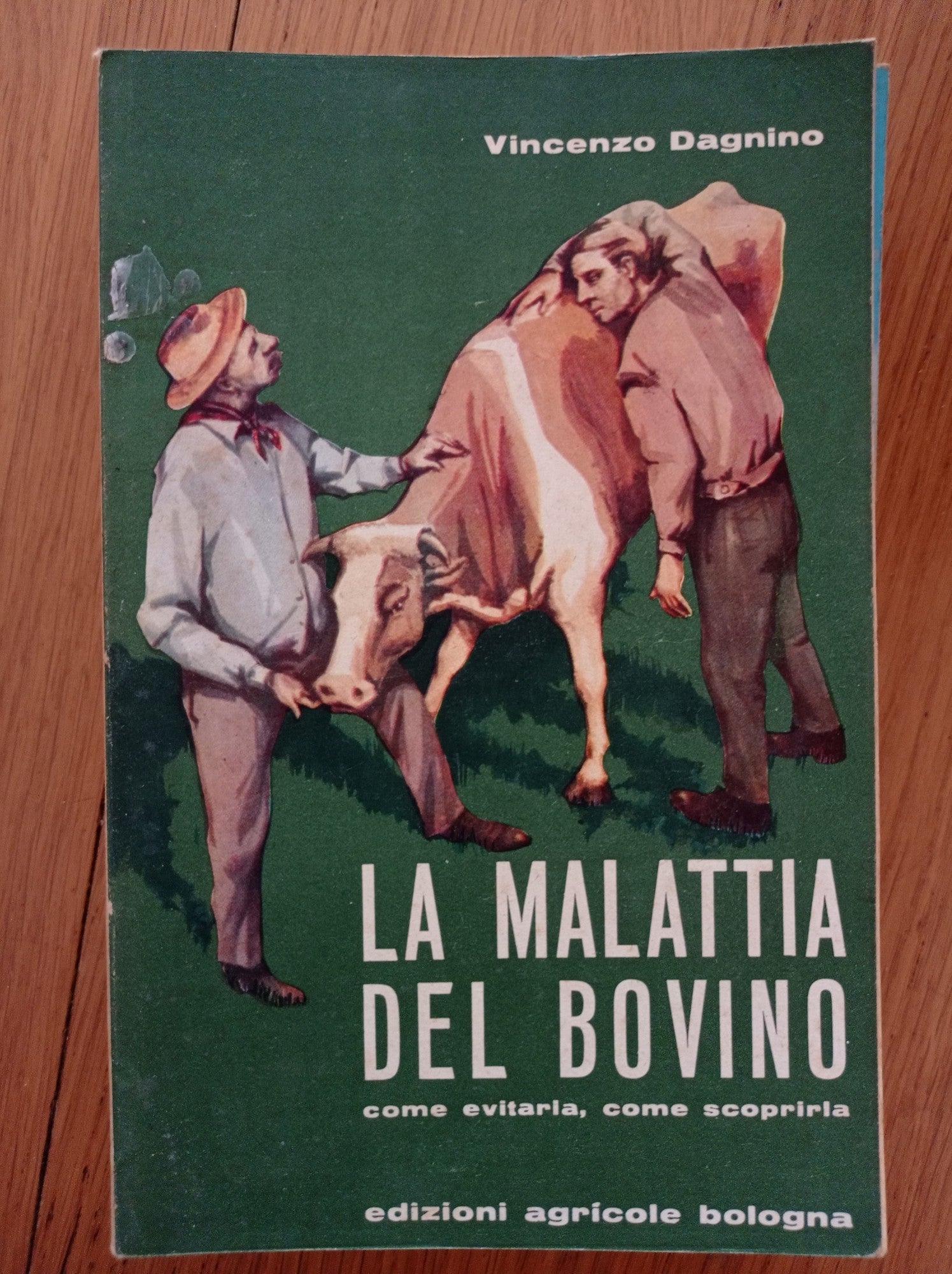 La malattia del bovino - copertina
