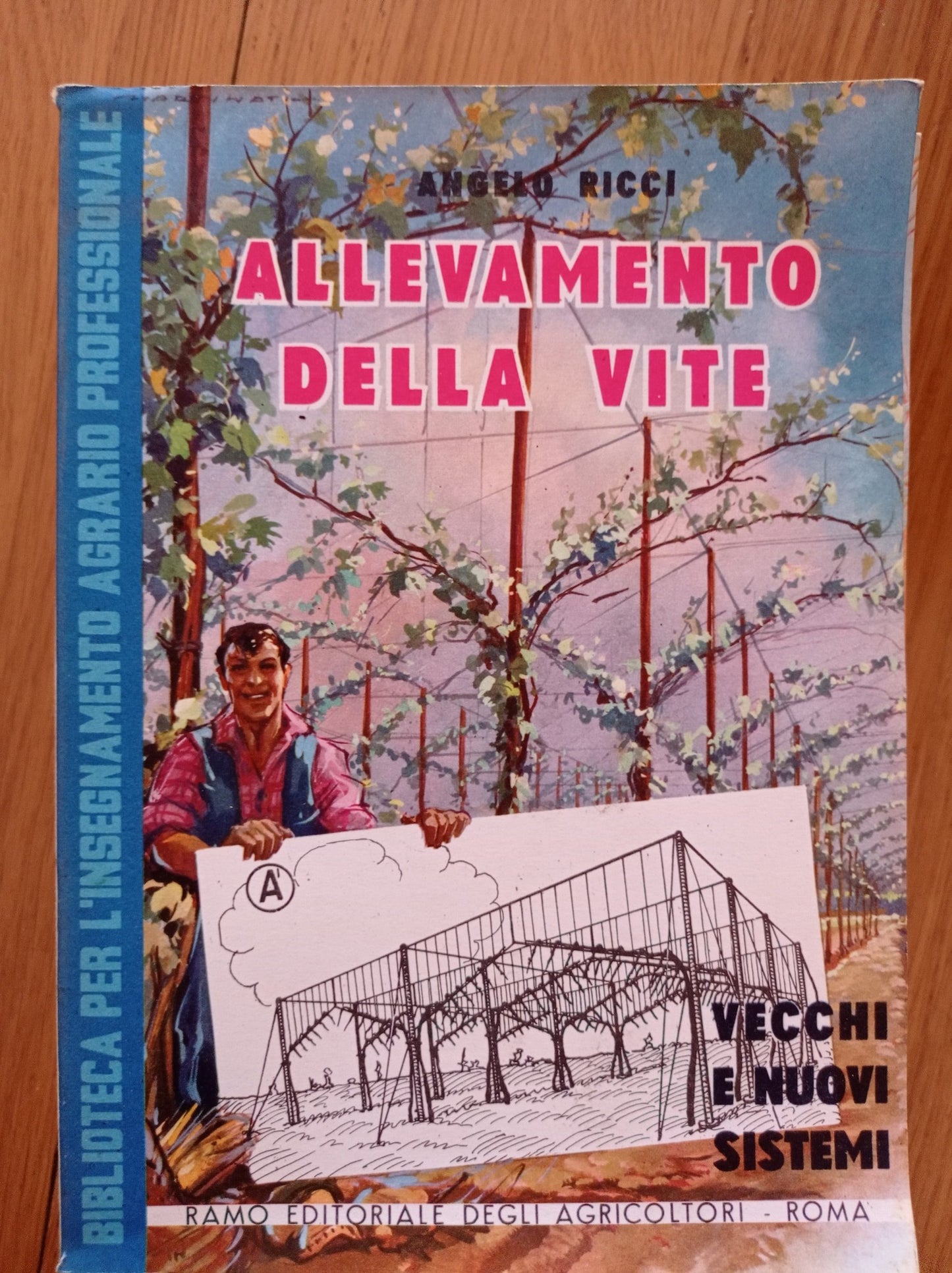 Allevamento della vite - copertina