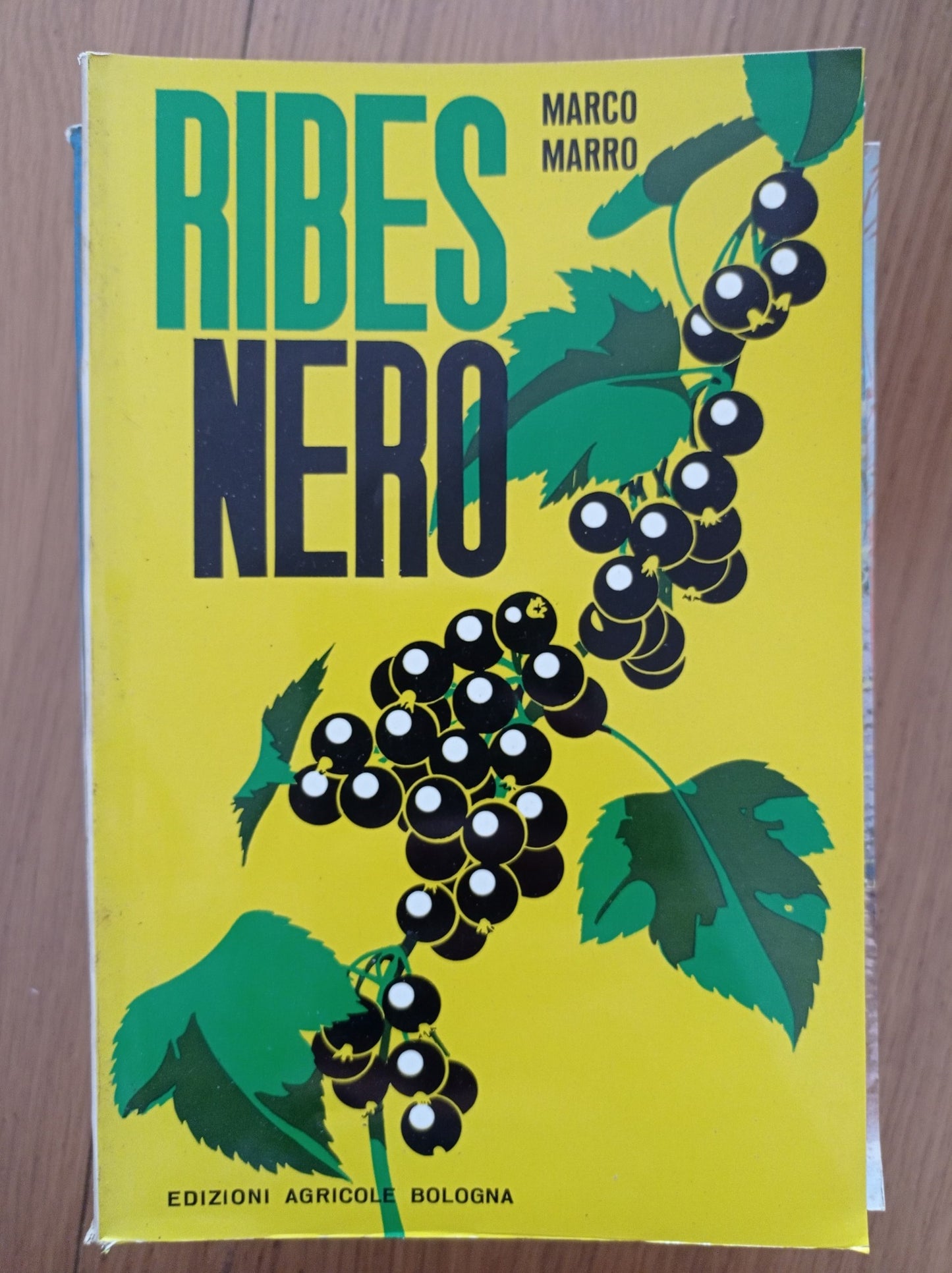 Ribes nero - copertina