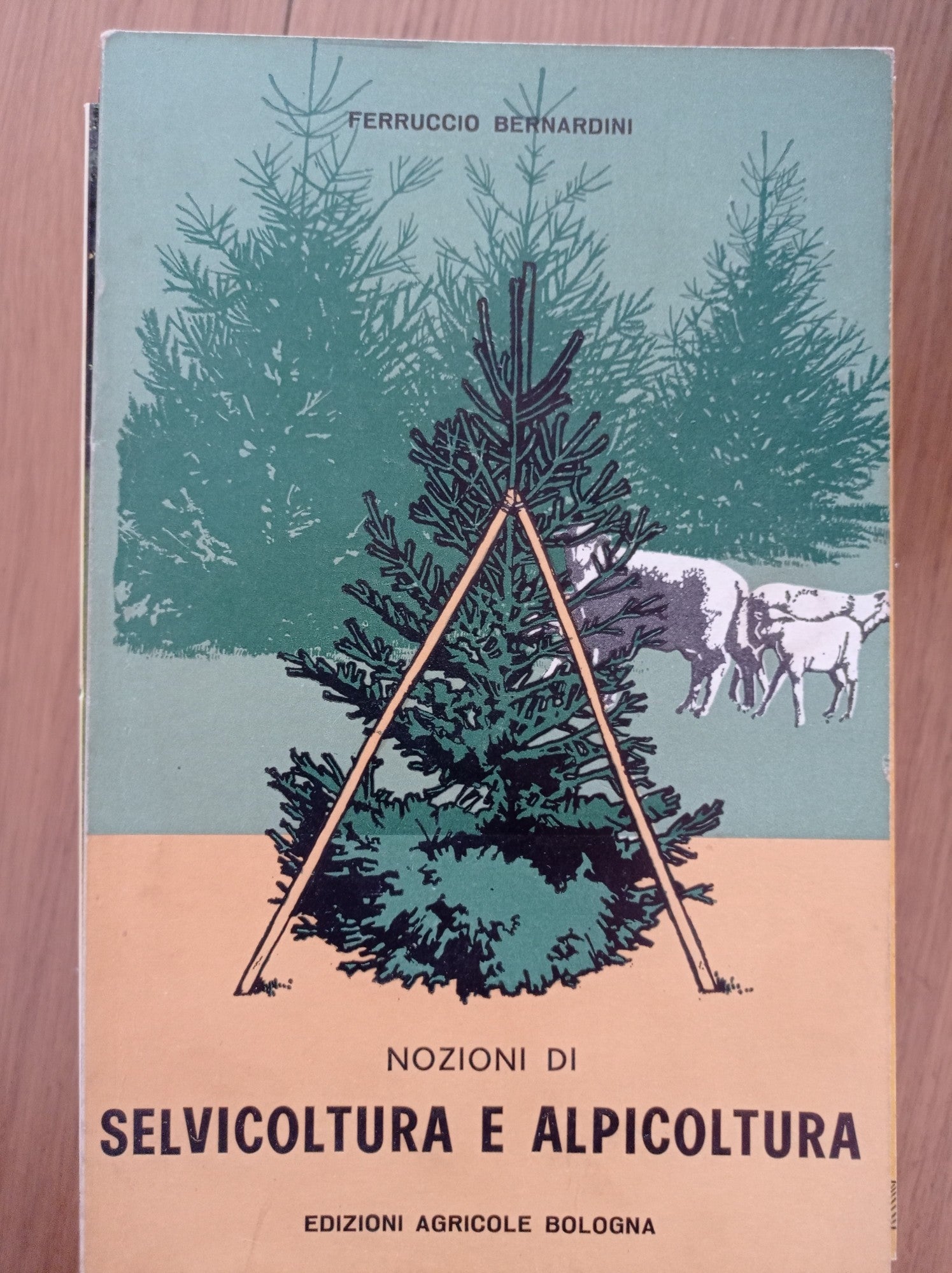 Selvicoltura e alpicoltura - copertina