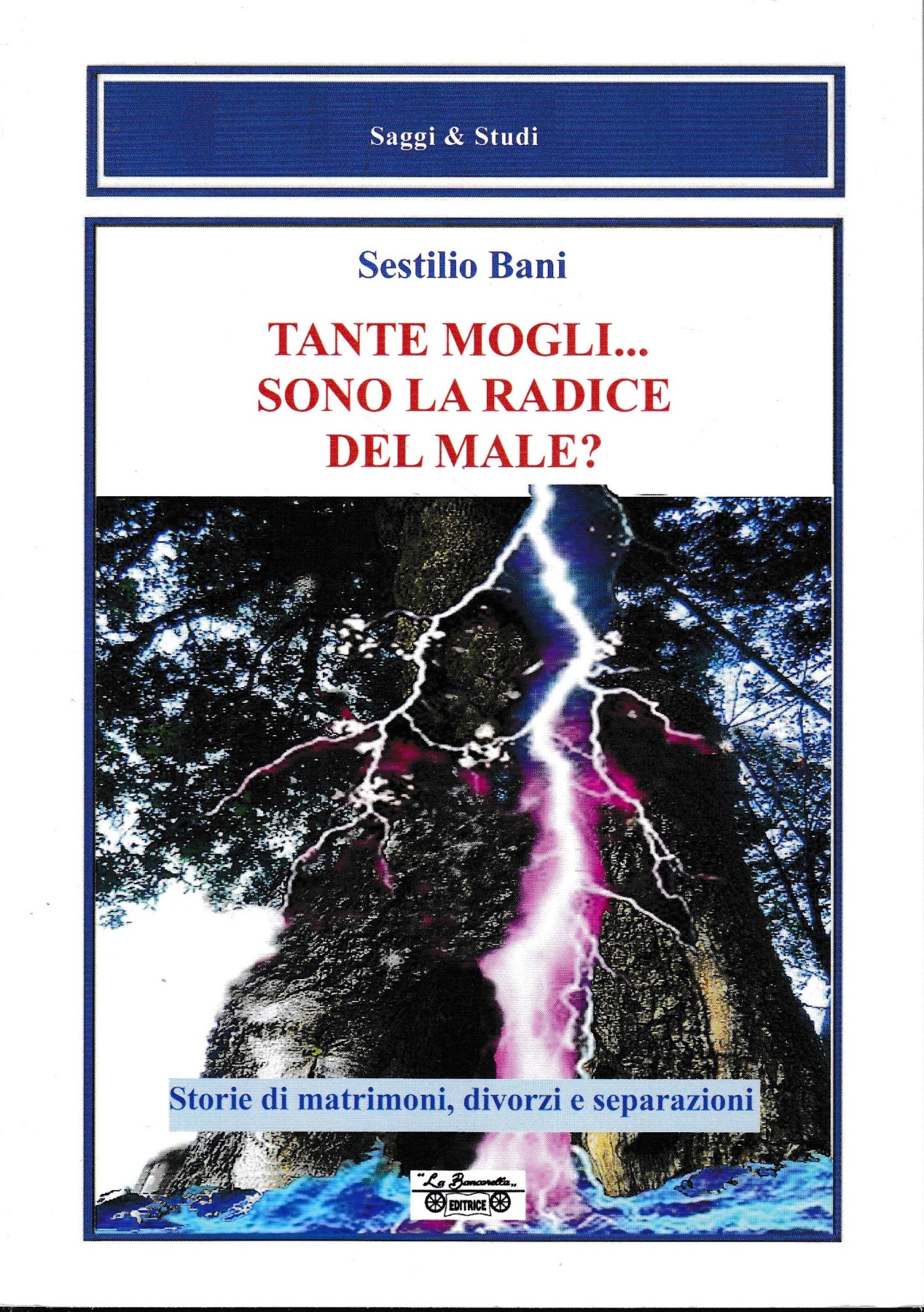 Tante mogli.. sono la radice del male? - copertina