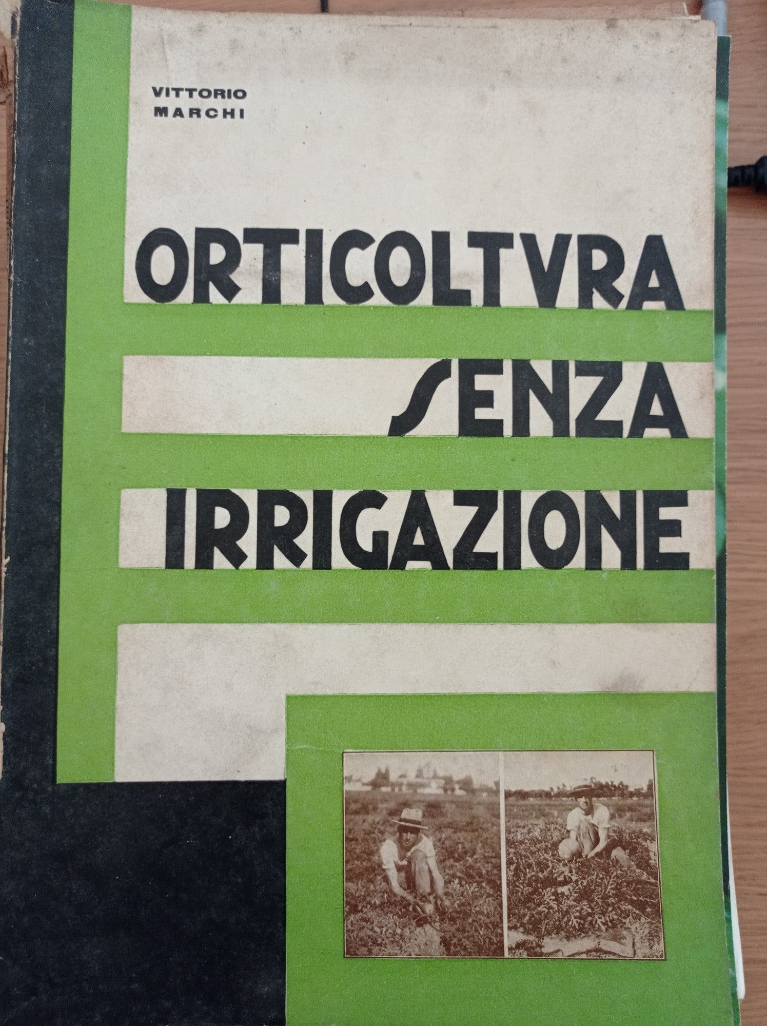 Orticoltura senza irrigazione - copertina