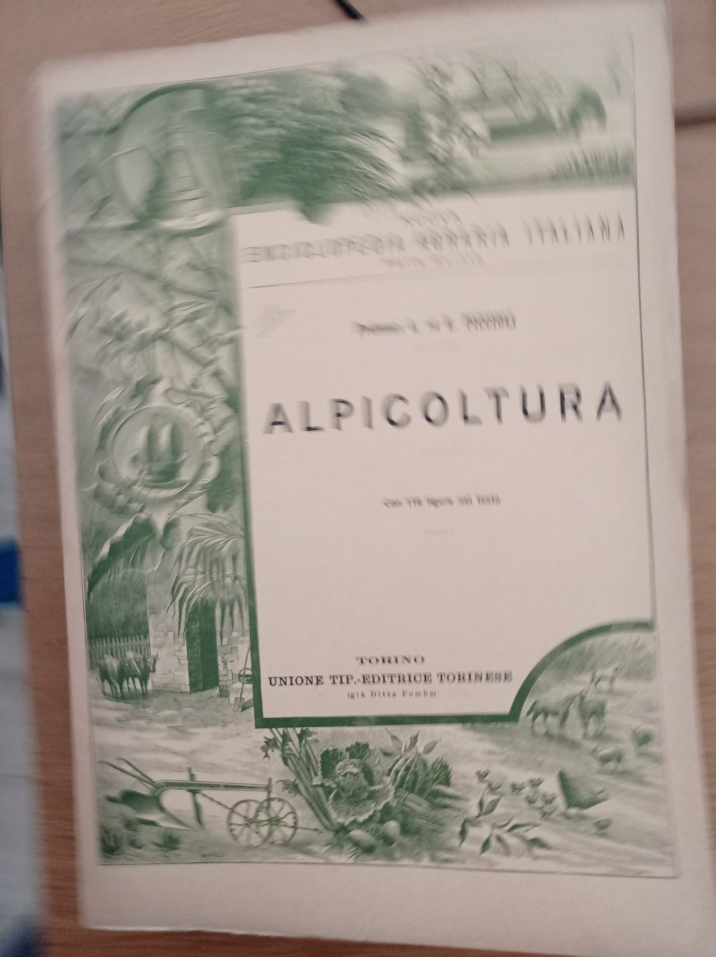 Apicoltura - copertina