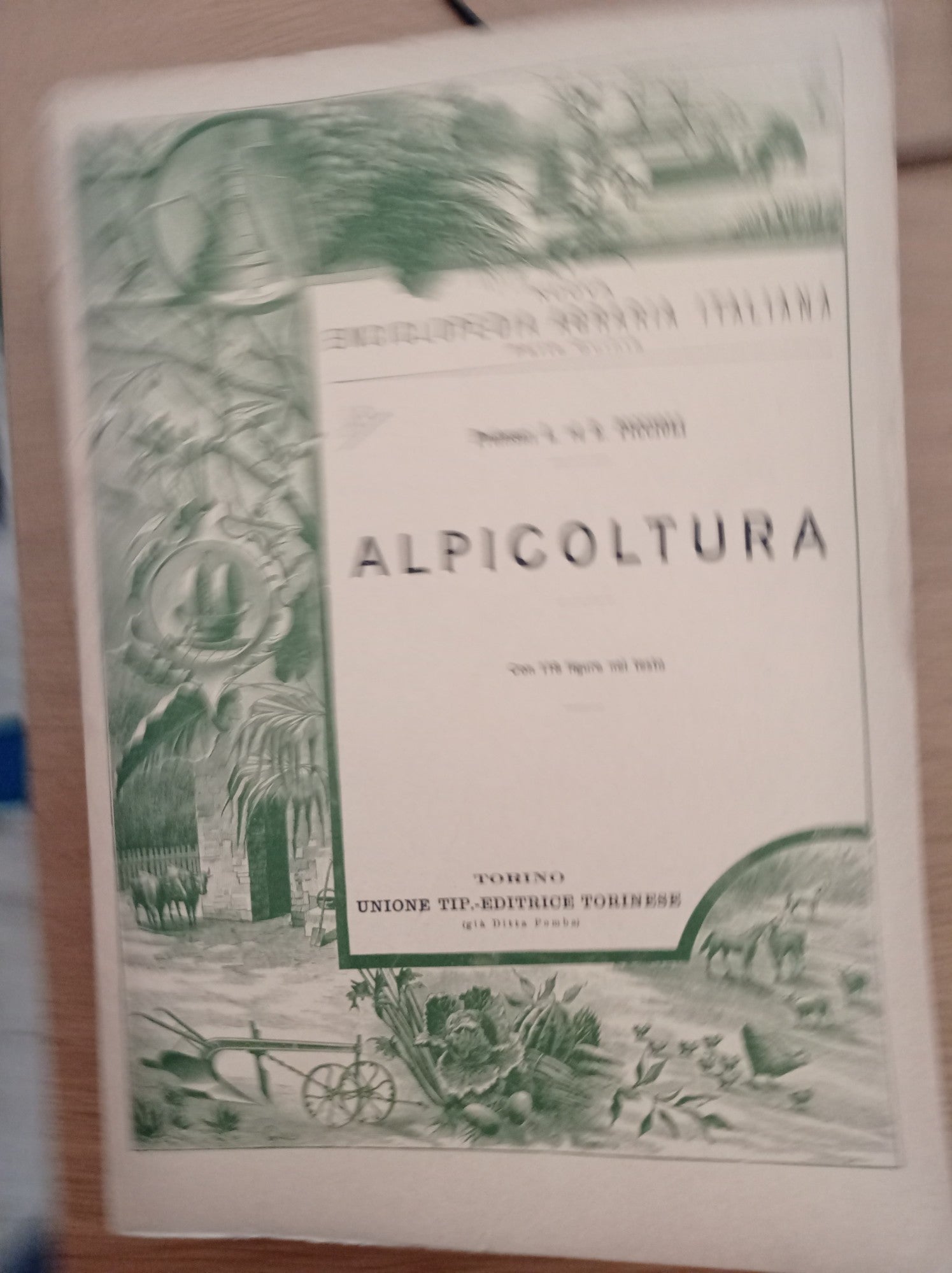 Apicoltura - copertina