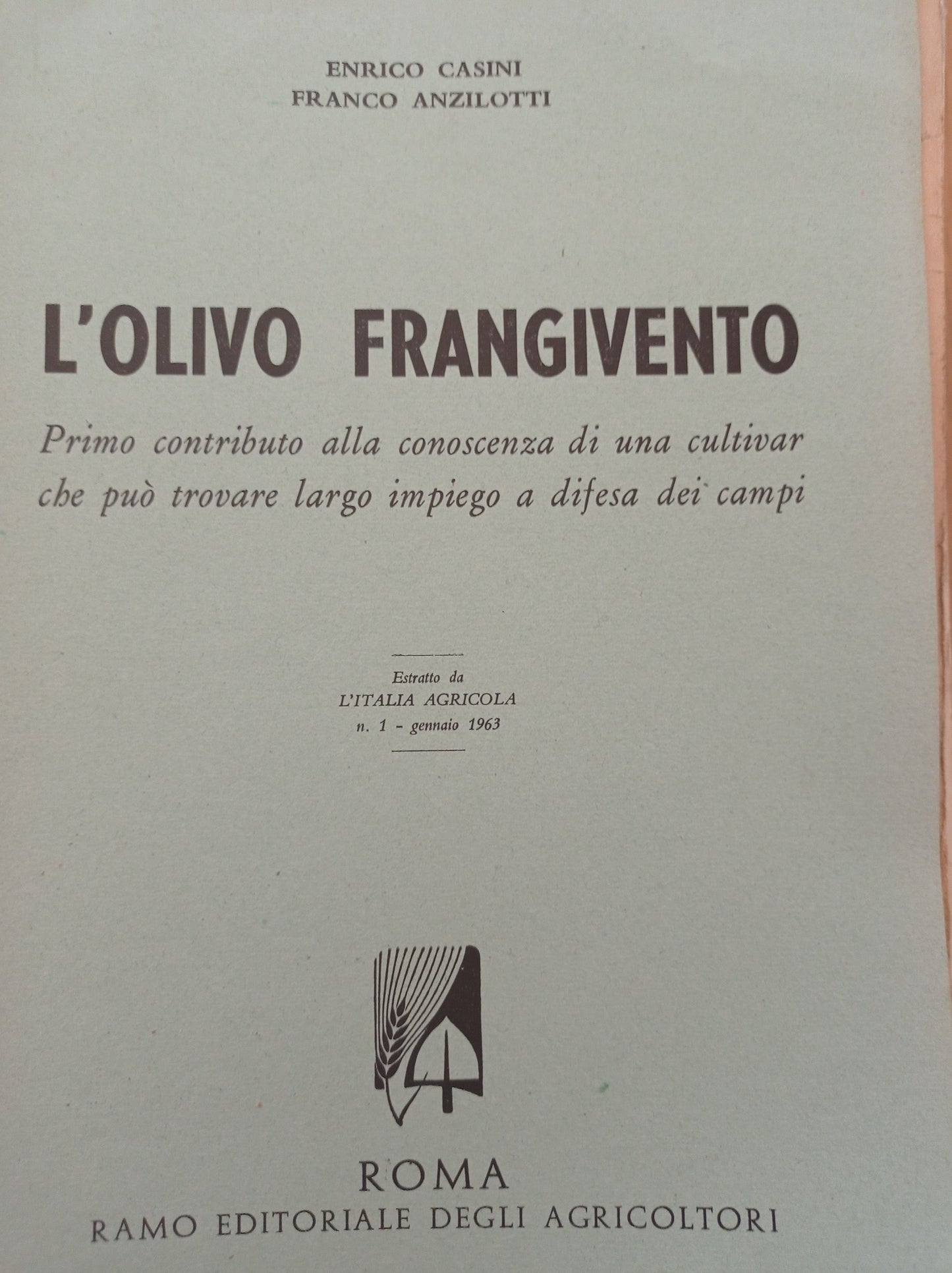 L' olivo frangivento - copertina