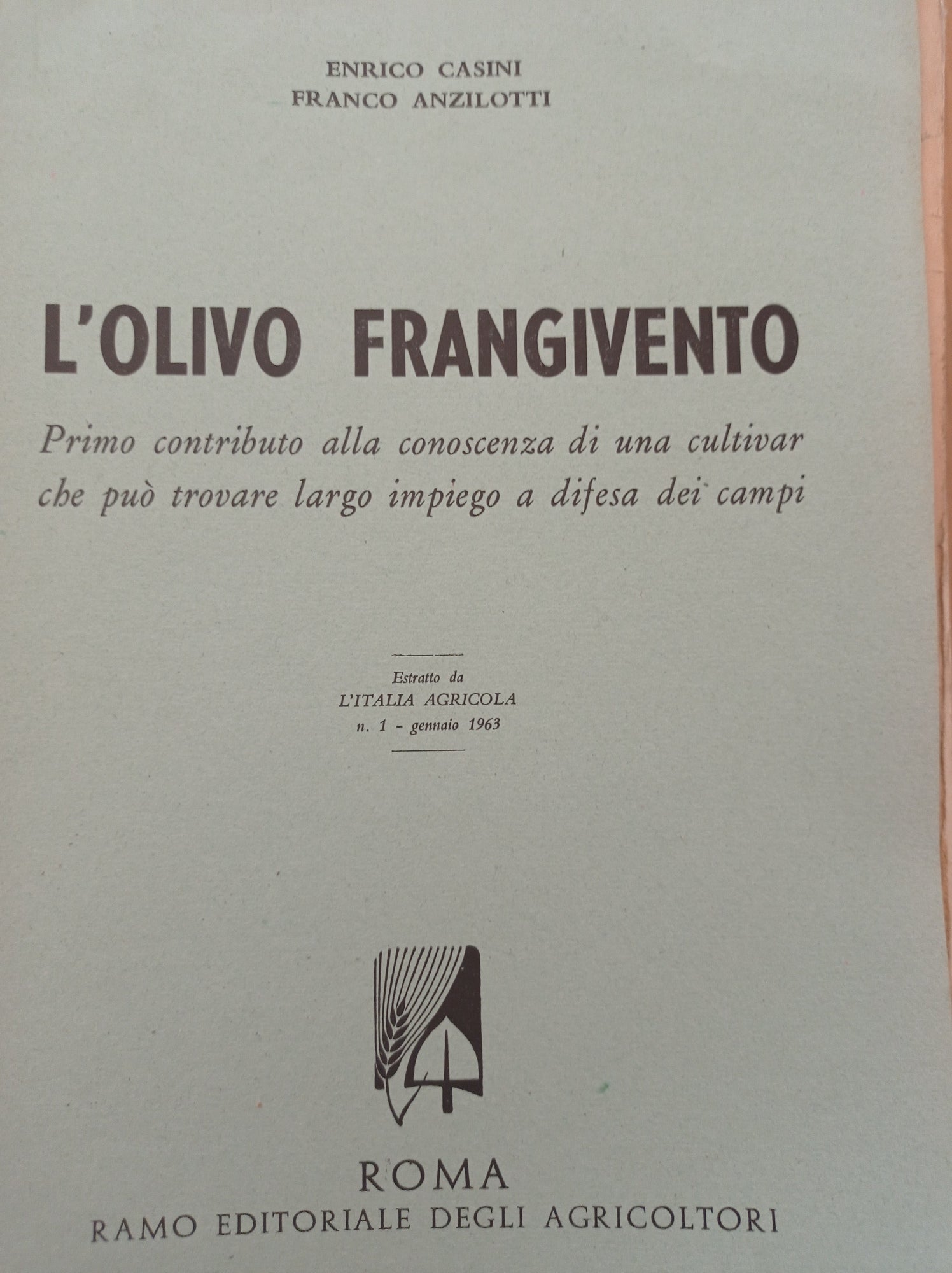 L' olivo frangivento - copertina