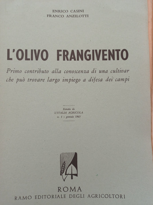 L' olivo frangivento - copertina