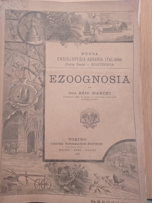 Ezoognosia - copertina