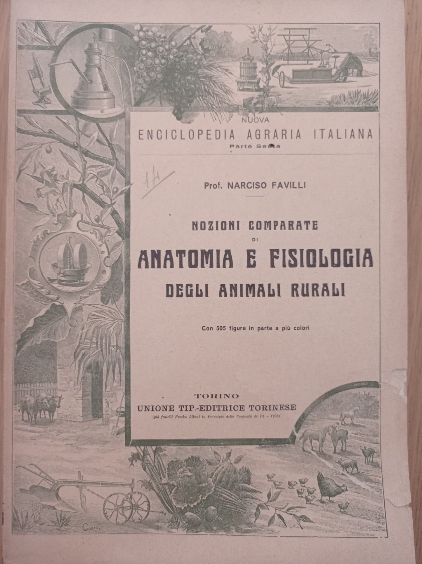 Nozioni comparate di anatomia e fisiologia degli animali rurali - copertina