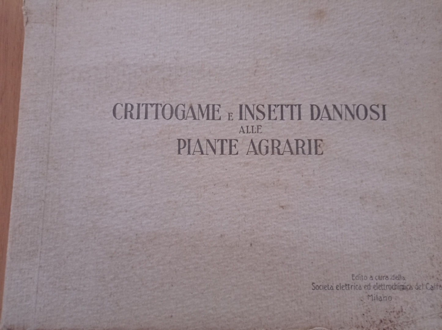 Crittogame e insetti dannosi alle piante agrarie - copertina