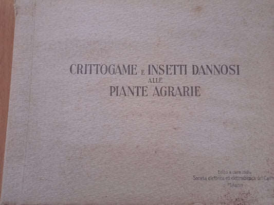 Crittogame e insetti dannosi alle piante agrarie - copertina