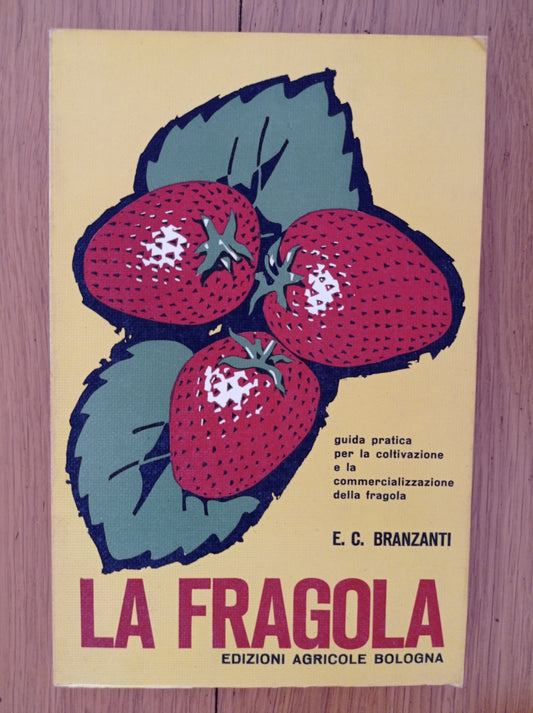 La fragola - copertina