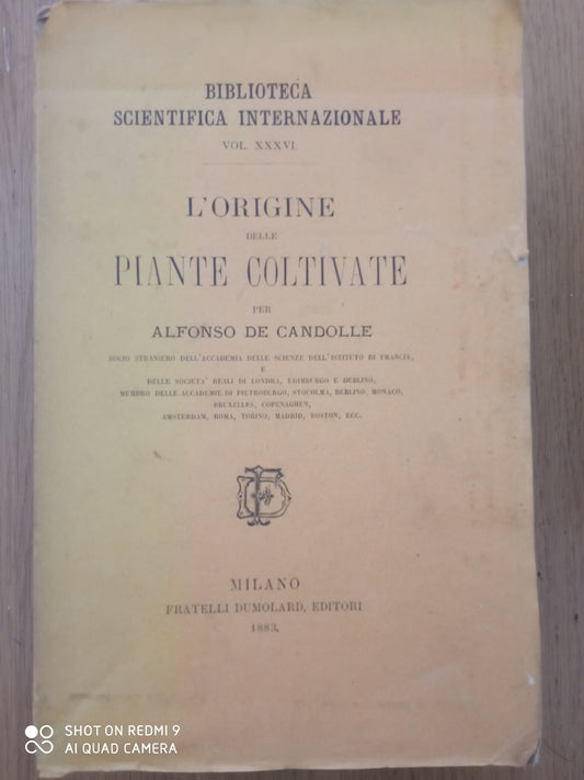 L'origine delle painte coltivate - copertina