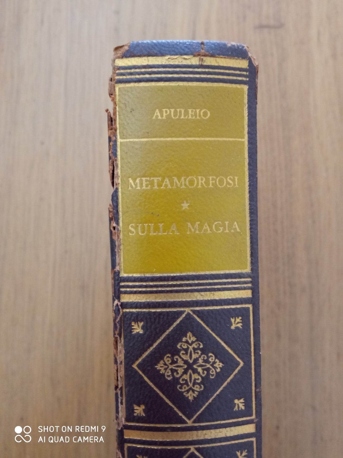 Le metamorfosi ( L'asino d'oro) Sulla magia in sua difesa (Apologia) - copertina