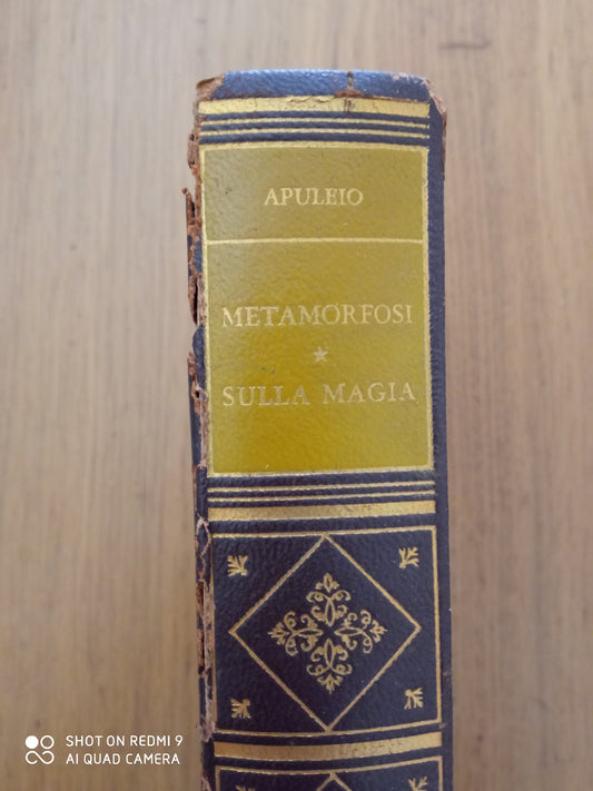 Le metamorfosi ( L'asino d'oro) Sulla magia in sua difesa (Apologia) - copertina