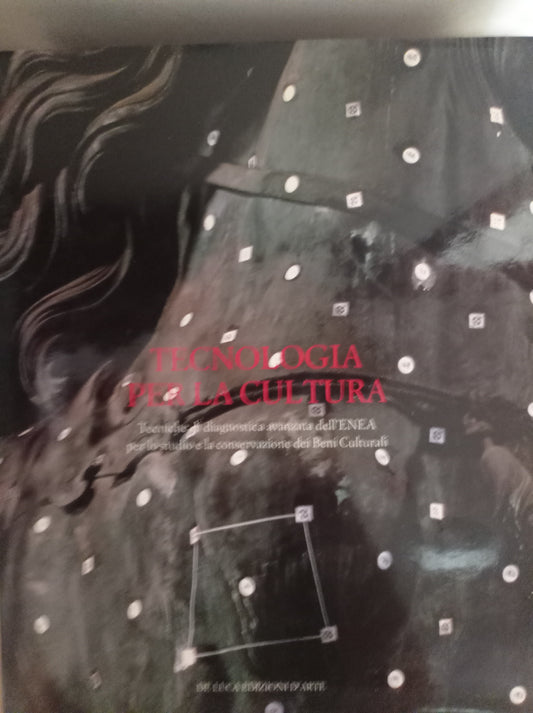 Tecnologia per la cultura. Tecniche di diagnostica avanzata dell\'ENEA per lo studio e la conservazione dei beni culturali. Ediz. illustrata - copertina
