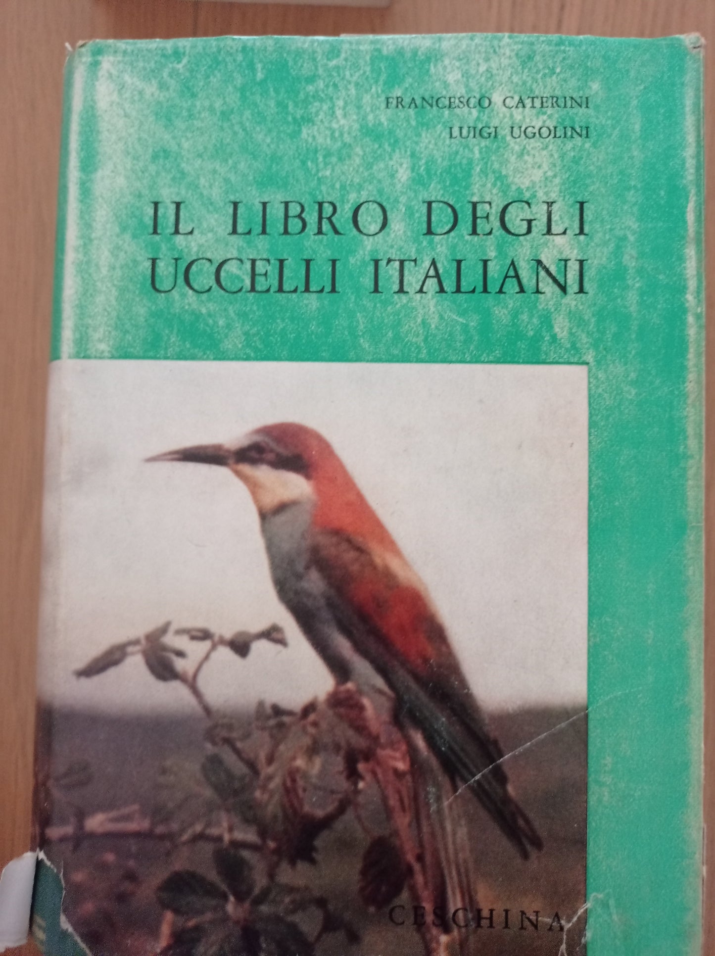 Il libro degli uccelli italiani - copertina