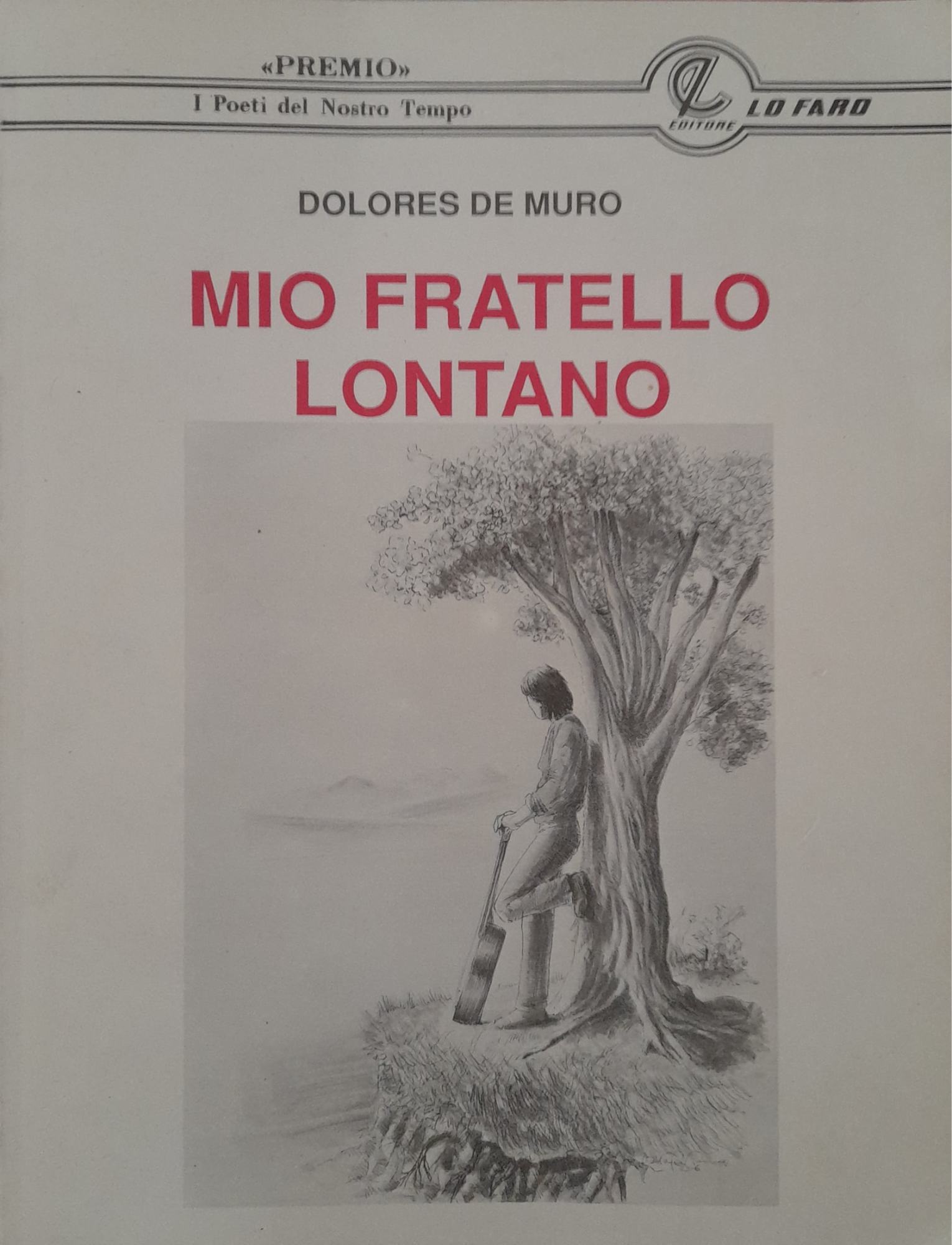Mio fratello lontano - copertina
