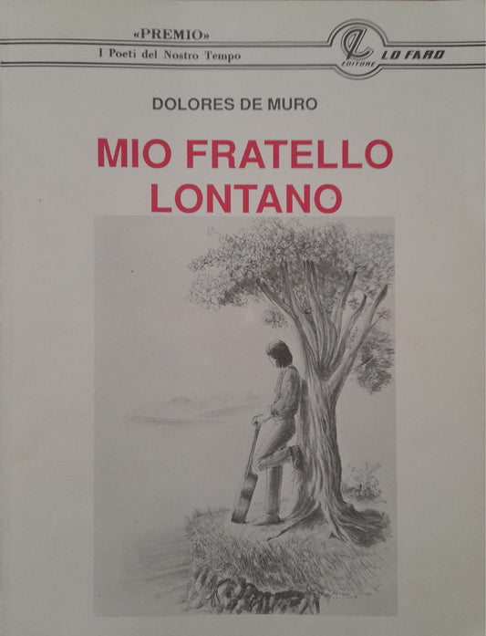 Mio fratello lontano - copertina