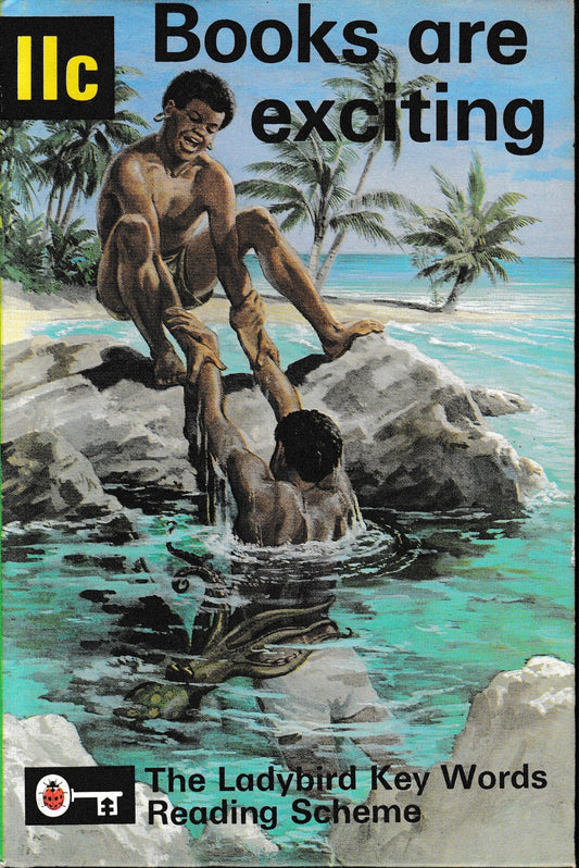 Books are exciting - copertina