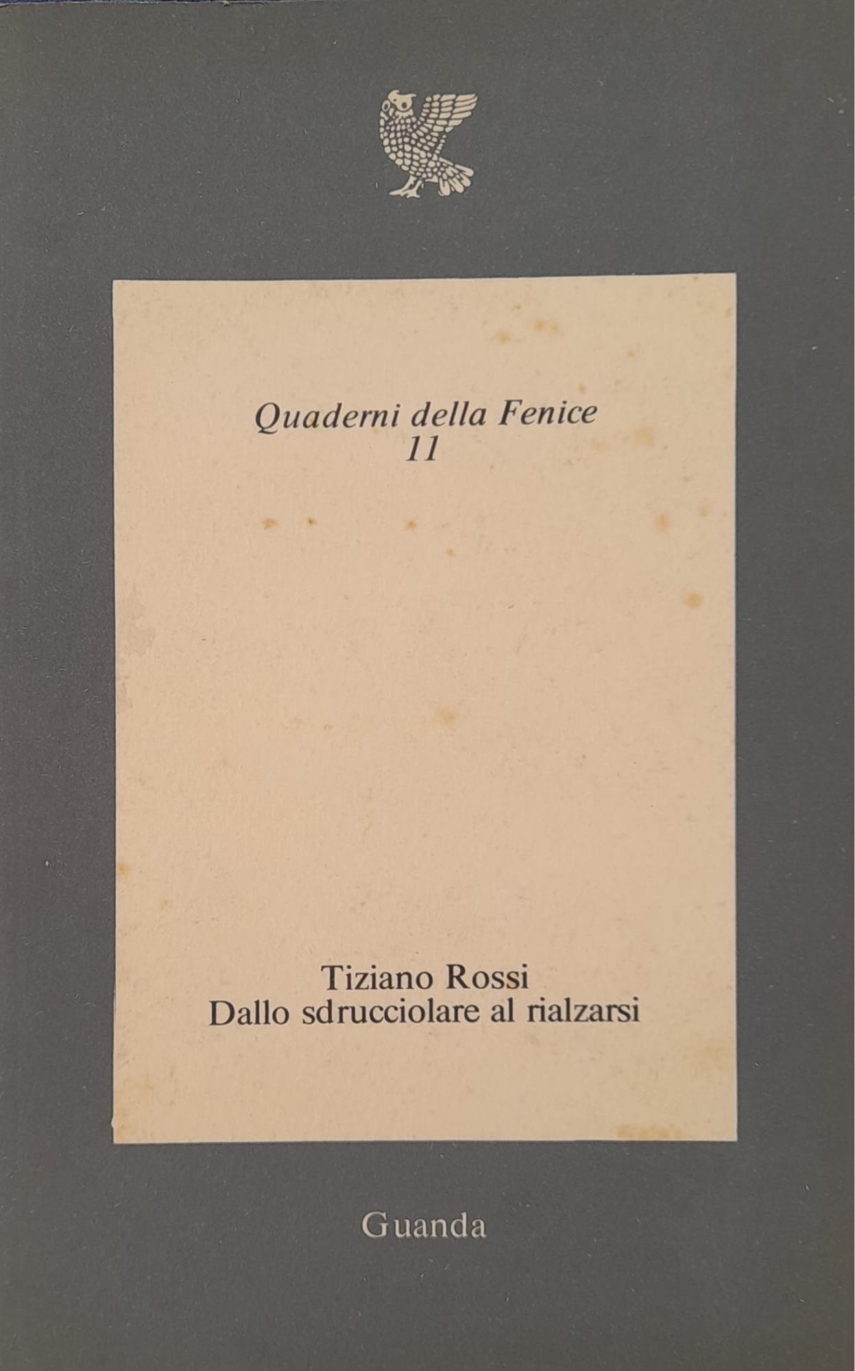 Dallo sdrucciolare al rialzarsi - copertina