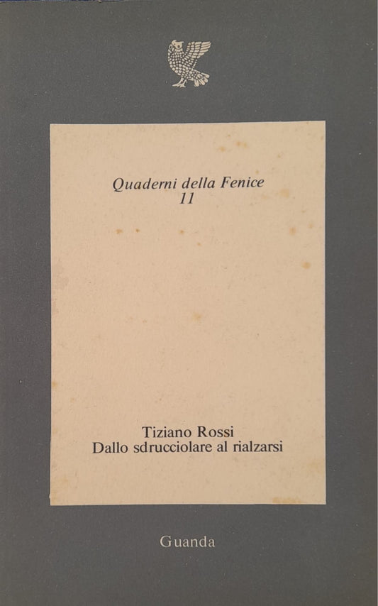 Dallo sdrucciolare al rialzarsi - copertina